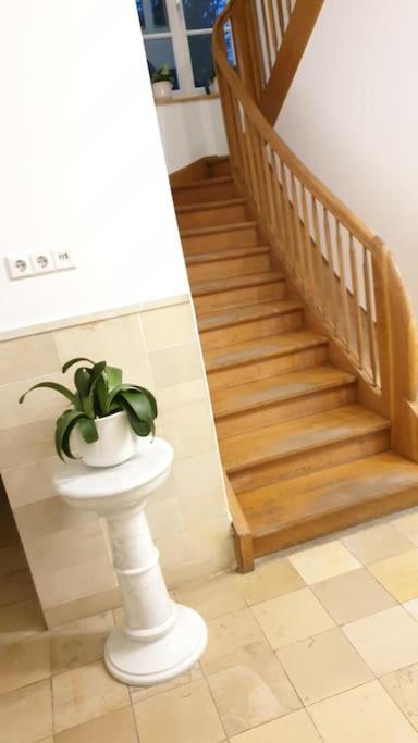 Ferienwohnung In Der Villa Sana Mit Grossem Garten Rofingen Zewnętrze zdjęcie