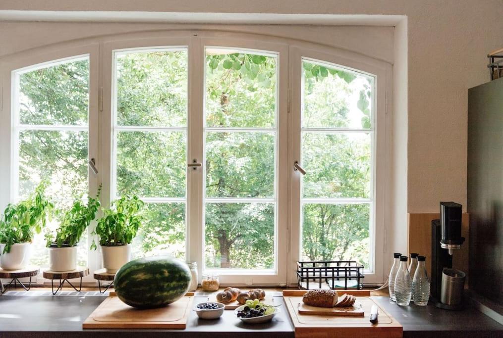 Ferienwohnung In Der Villa Sana Mit Grossem Garten Rofingen Zewnętrze zdjęcie